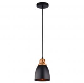 Подвесной светильник Arte Lamp Eurica A4248SP-1BK
