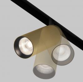 Трековый светильник Maytoni Technical Exility 4000K Artisan TR097-2-12W4K-M-BMG