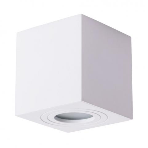 Накладной светильник Arte Lamp Galopin   A1461PL-1WH
