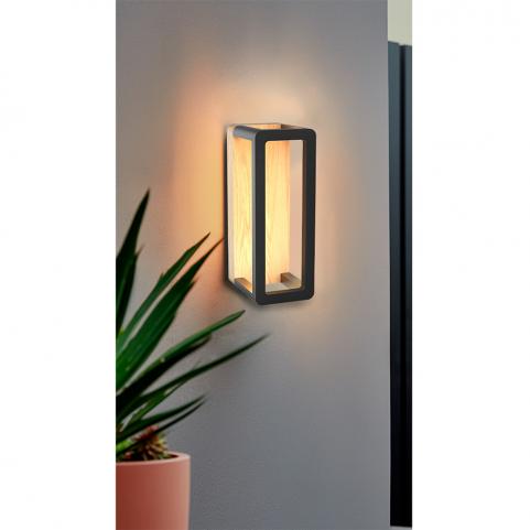 Настенный уличный светильник Arte Lamp Hassaleh  A3374AL-1BR