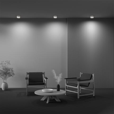 Потолочный светильник Maytoni Technical Ceiling 3000K Zon C032CL-12W3K-RD-W