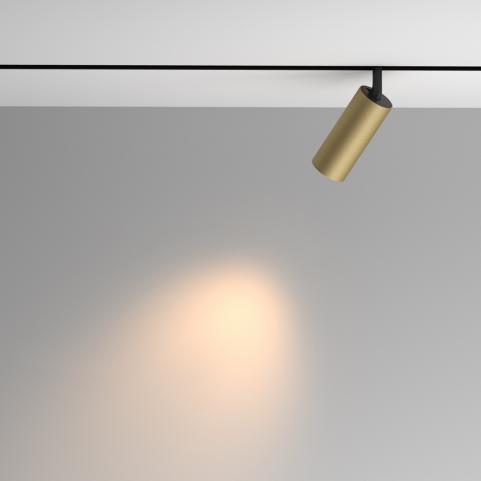 Трековый светильник Maytoni Technical Exility 3000K  Artisan TR097-2-12W3K-M-BMG