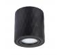 Накладной светильник Arte Lamp Fang   A5559PL-1BK