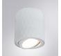 Накладной светильник Arte Lamp Fang   A5559PL-1WH