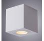 Накладной светильник Arte Lamp Galopin   A1461PL-1WH