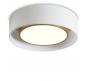 Потолочный светильник Freya Cozy FR6170CL-L52BS