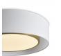 Потолочный светильник Freya Cozy FR6170CL-L52BS