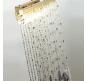 Бра Odeon Light Afina 5420/10WL