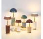 Настольный светильник Odeon Light Lulu 3000 5452/5TLA