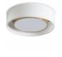 Потолочный светильник Freya Cozy FR6170CL-L52BS